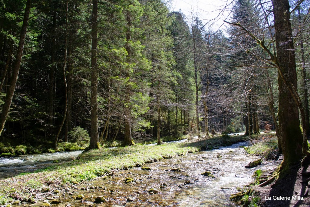 gorges bruyant vercors