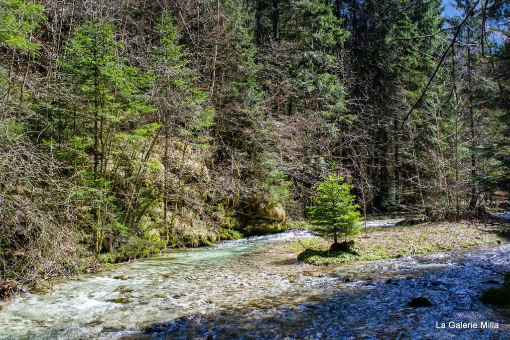 gorges bruyant vercors