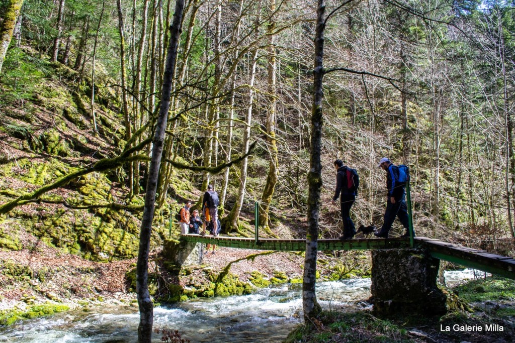 gorges bruyant vercors