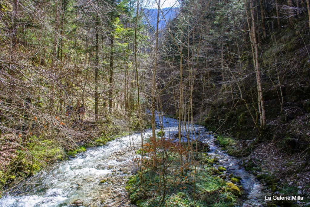 gorges bruyant vercors