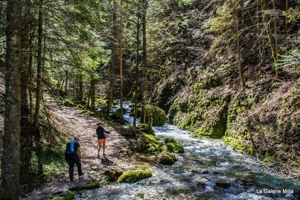 gorges bruyant vercors