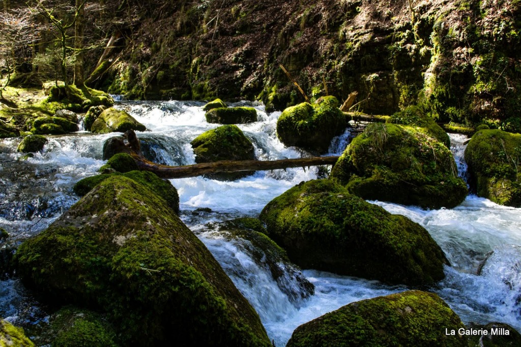 gorges bruyant vercors torrent eau