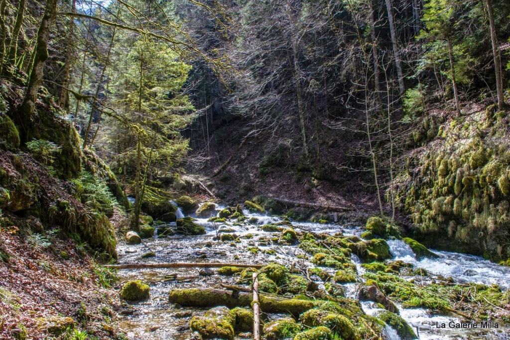 gorges bruyant vercors riviere