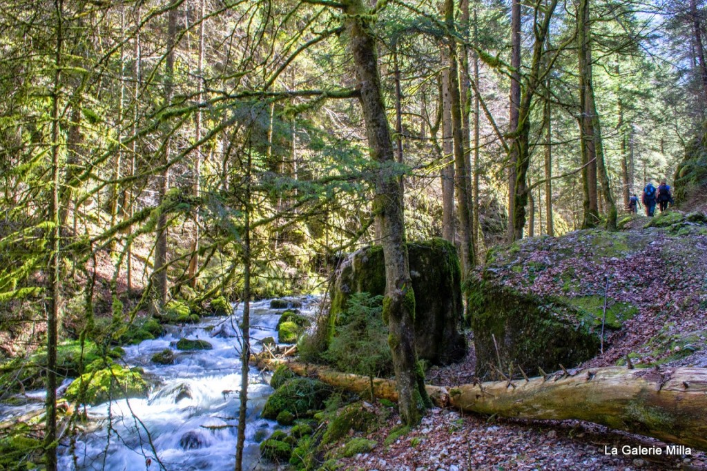 gorges bruyant vercors