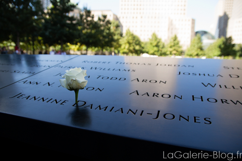 une fleur dans le monument commemoratif du 11 septembre