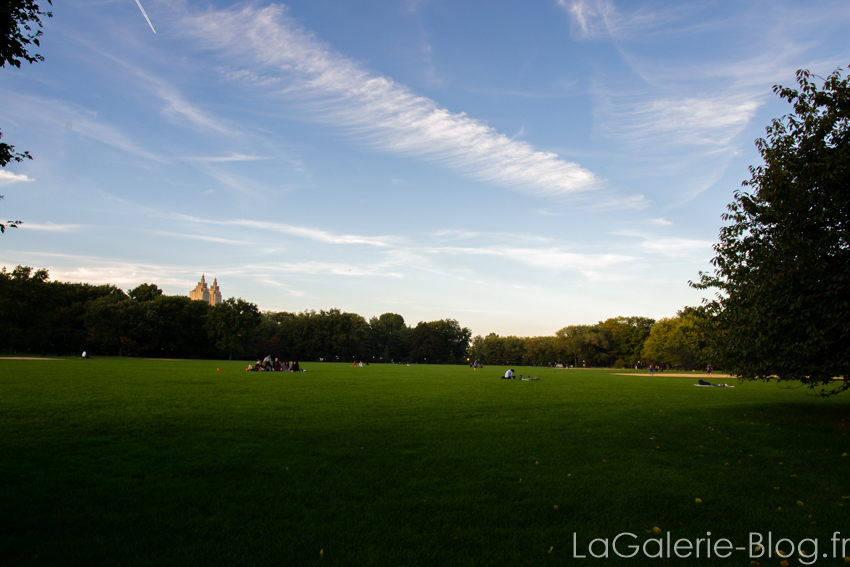 terrain vide à central parc