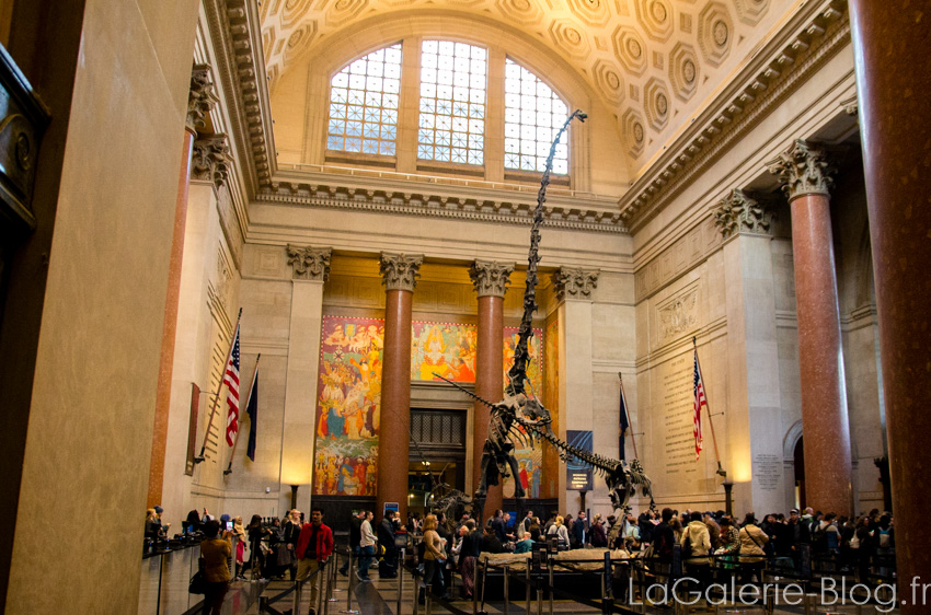 vue sur l'entrée du musée d'histoire naturelle de new york