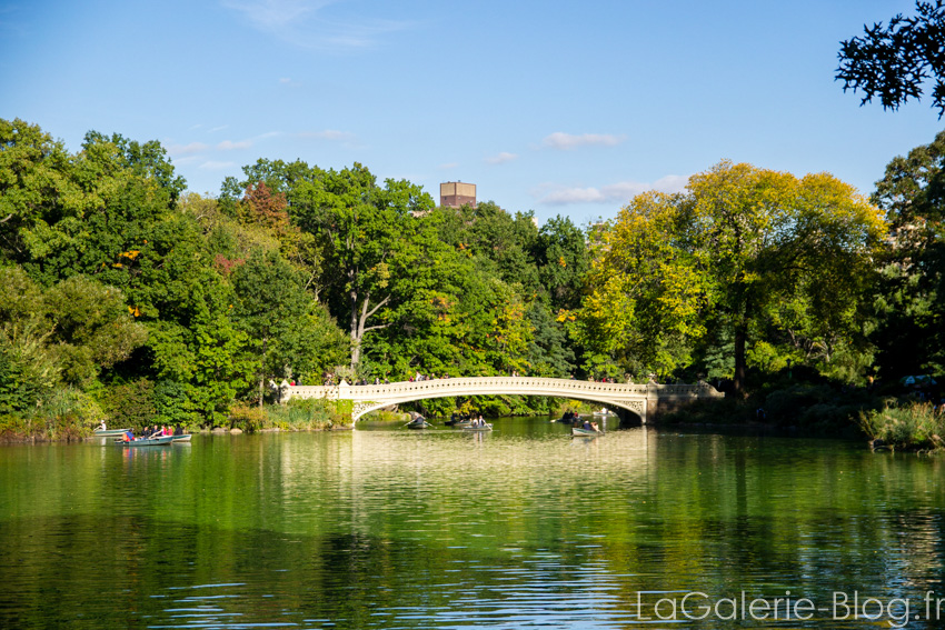 vue du pont "the bridge' a central parc