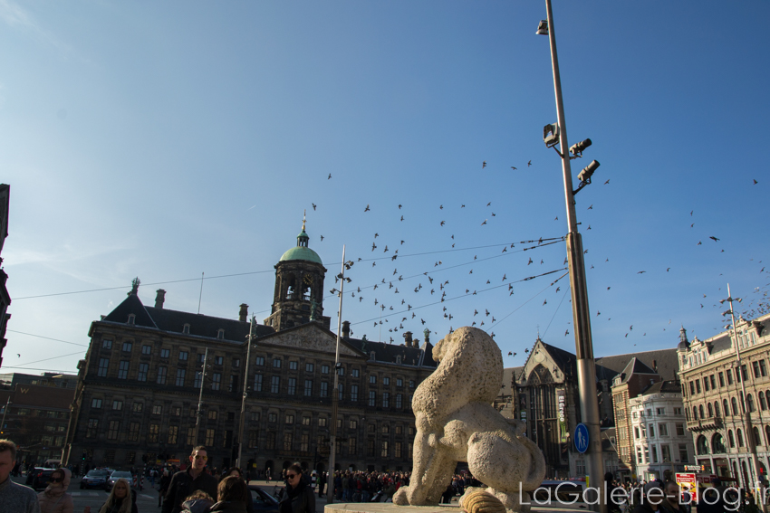 place du centre ville