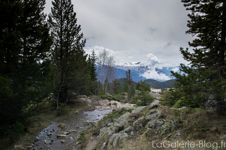 l'eau ruisselant sur le sentier