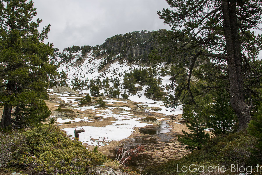 la neige toujours sur le sentier du lac achard