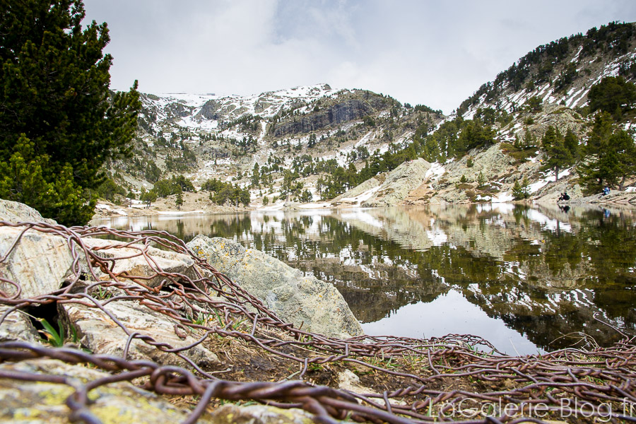 grillage devant le lac