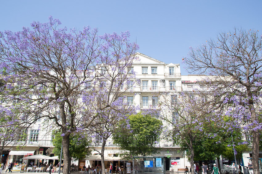 allée à coté de Praça Dom Pedro IV