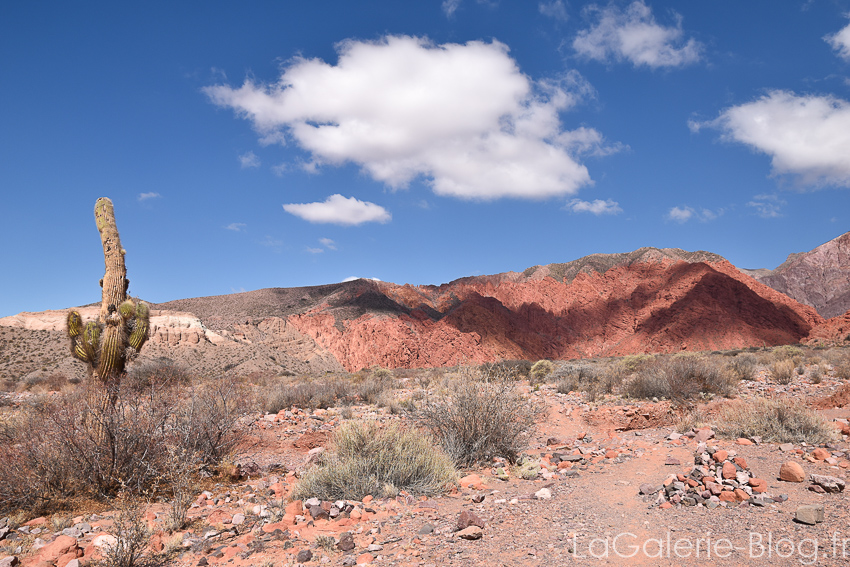 Uquia, desert sous les nuages et cactus, Argentine