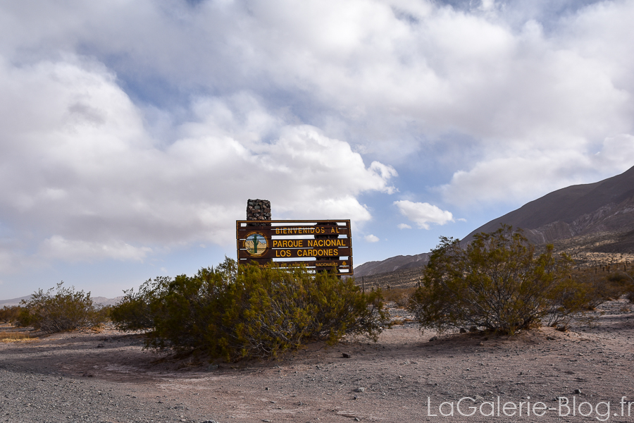 parc national de los cardones