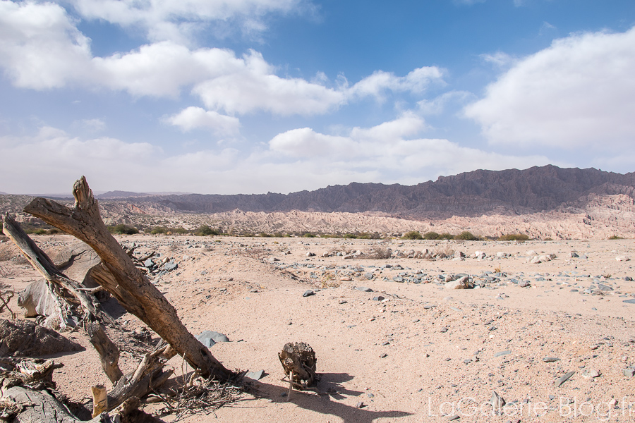 desert de cafayate