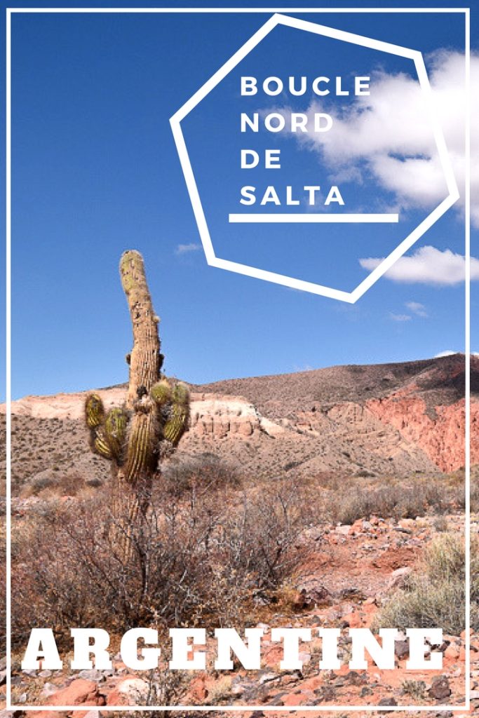 Circuit de la boucle nord de Salta dans le nord de l'Argentine. #argentine #salta