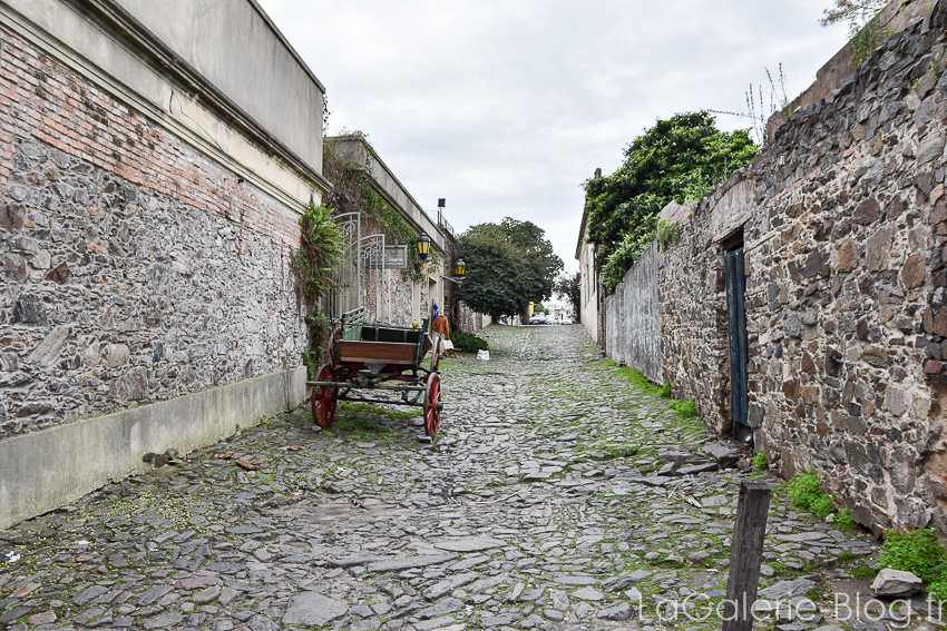 rue de colonia del sacramento