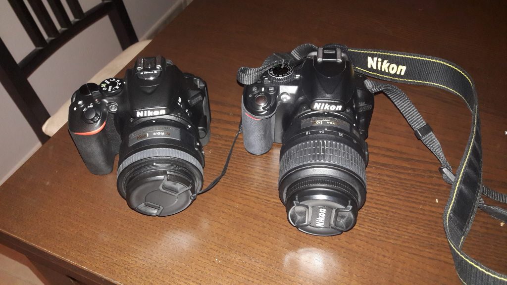 D5600 vs D3100