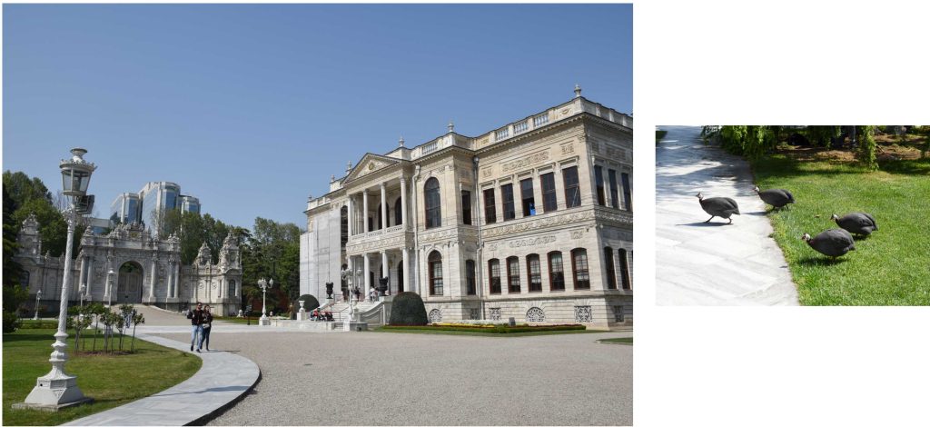 vue du palais dolmabace istanbul