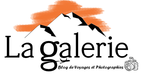 blog la galerie logo