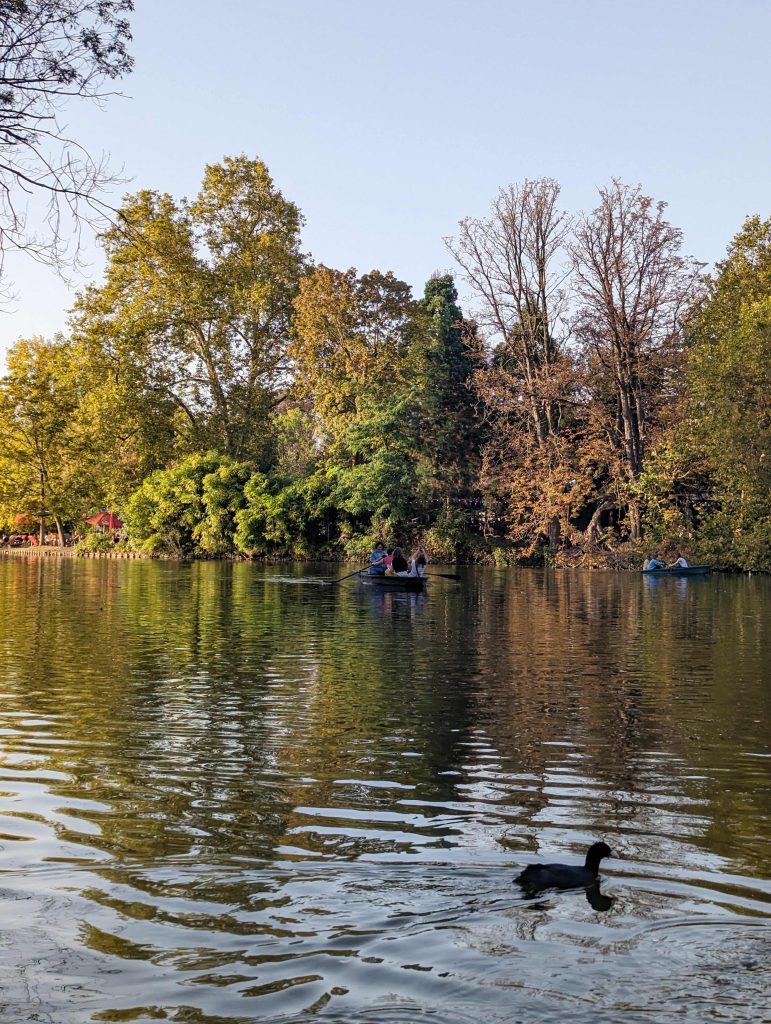 canard sur le lac